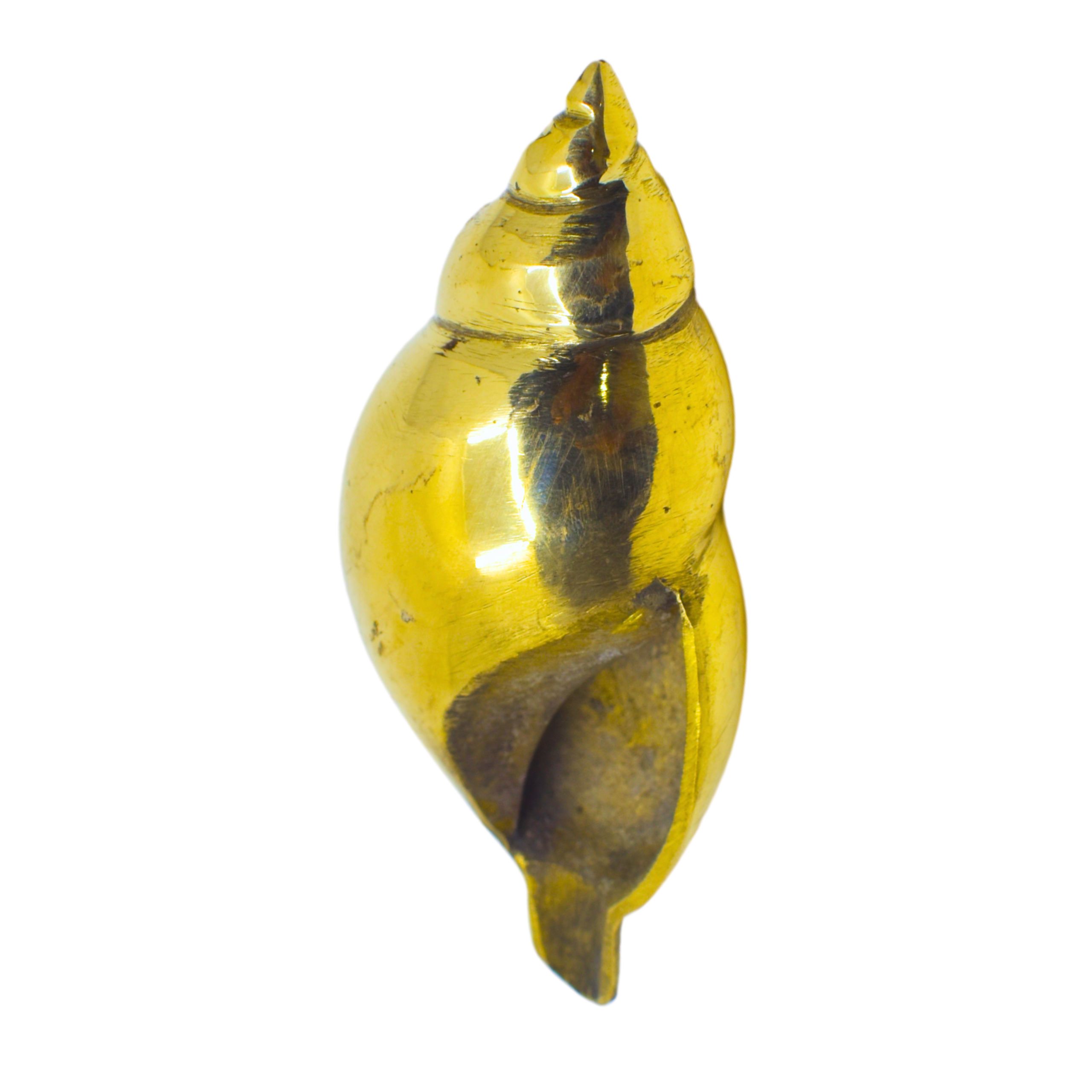 Brass Shankh: Perfect Addition to Your Puja Room (Pack Of 1)